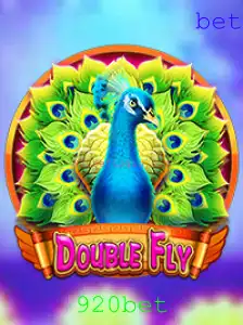 Explorando o Universo de DoubleFly e Sua Conexão com 920bet